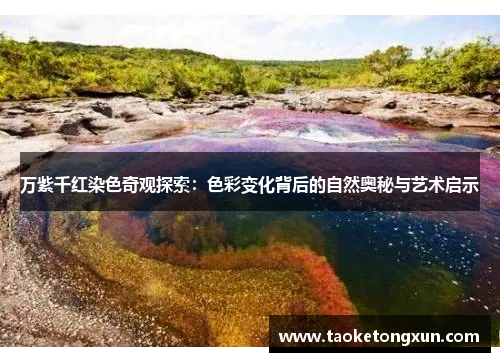 万紫千红染色奇观探索：色彩变化背后的自然奥秘与艺术启示