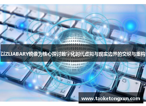 以ZLIABARY镜像为核心探讨数字化时代虚拟与现实边界的交织与重构